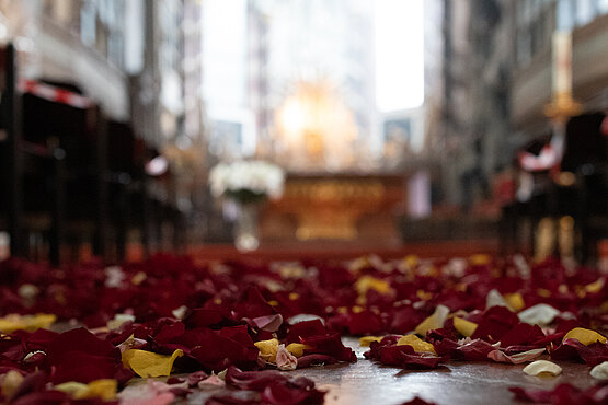 Blüten säumen den Boden der Michaelakirche. 