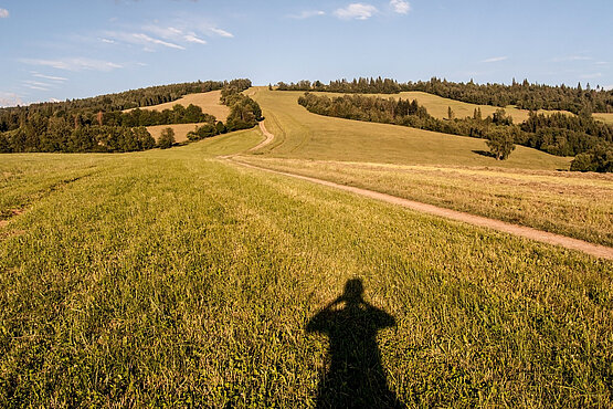 Der Guruismus ist nicht ungefährlich: Spirituelle Versprechen der Gurus, emotionale Überwältigung und Gruppendruck können zu Grenzverletzungen bis hin zu finanzieller Ausbeutung, psychischer Abhängigkeit und sexuellem Missbrauch führen.