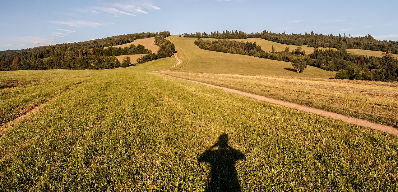 Der Guruismus ist nicht ungefährlich: Spirituelle Versprechen der Gurus, emotionale Überwältigung und Gruppendruck können zu Grenzverletzungen bis hin zu finanzieller Ausbeutung, psychischer Abhängigkeit und sexuellem Missbrauch führen.