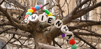 Taylor Swift Freundschaftsbaum