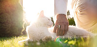 Papst Benedikt XVI. soll ein echter Katzen-Fan gewesen sein. 
