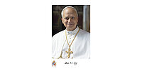 Das offizielle Foto von Papst Leo XIV.