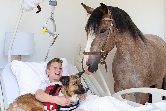 Bub im Krankenbett mit Pferd und Hund
