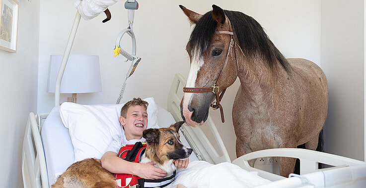 Bub im Krankenbett mit Pferd und Hund