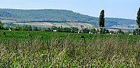 Feld wird bewässert