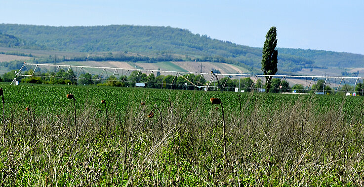 Feld wird bewässert