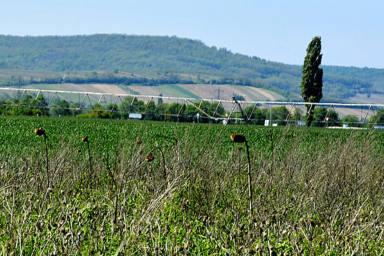 Feld wird bewässert
