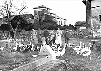 Das einzige Foto der Heiligen Maria Goretti.