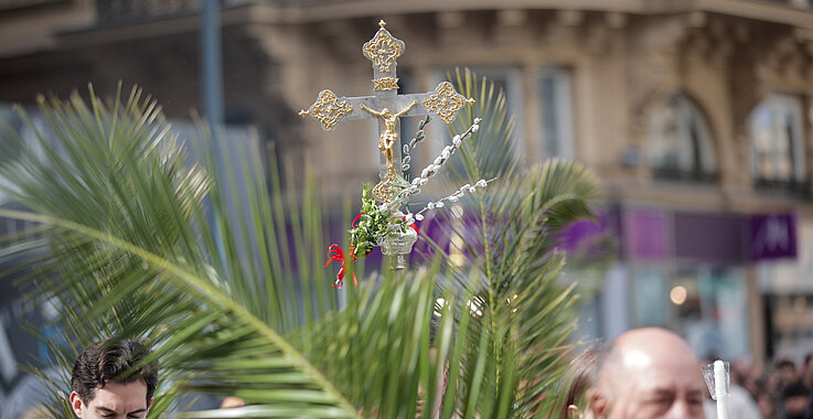 Die Palmzweige, die wir in den Händen halten, sollen mehr sein als ein traditionelles Symbol. 