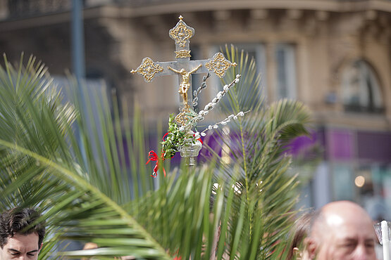 Die Palmzweige, die wir in den Händen halten, sollen mehr sein als ein traditionelles Symbol. 