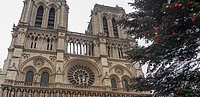 Geschmückter Weihnachtsbaum vor Notre-Dame
