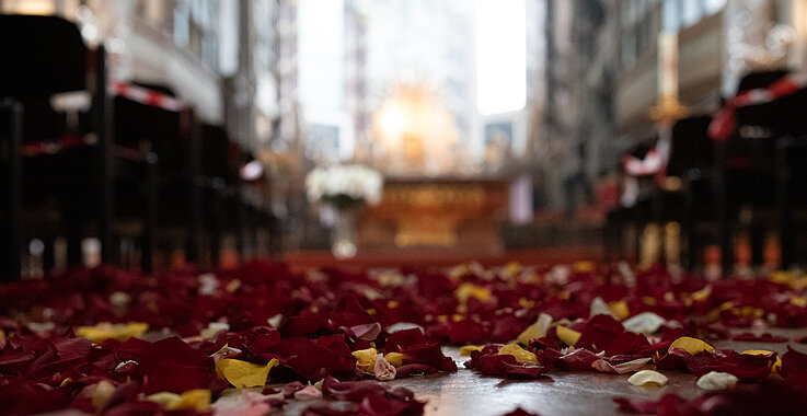 Blüten säumen den Boden der Michaelerkirche. 