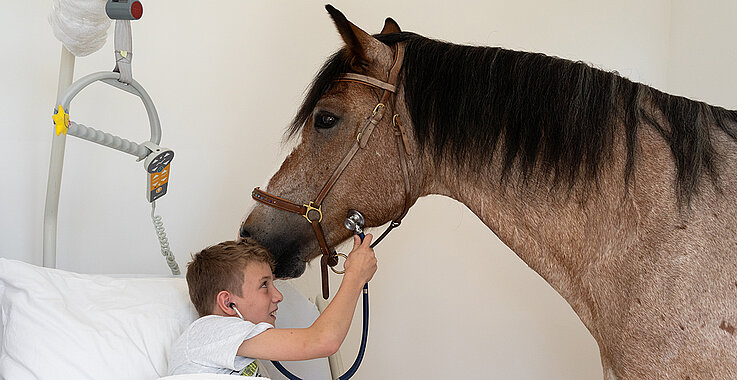 Bub untersucht Pferd mit Stethoskop