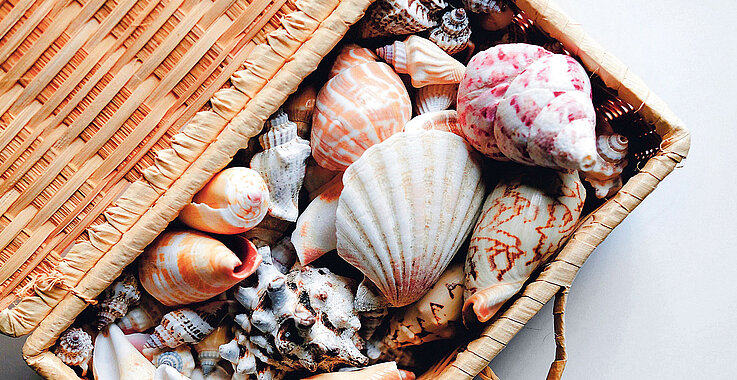 Korb mit Muscheln