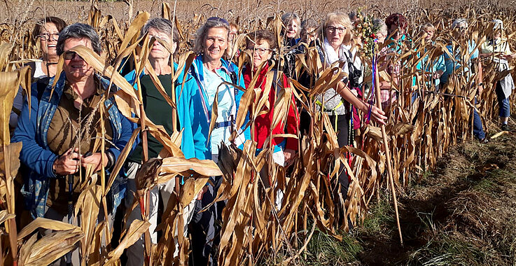 Frauen im Maisfeld