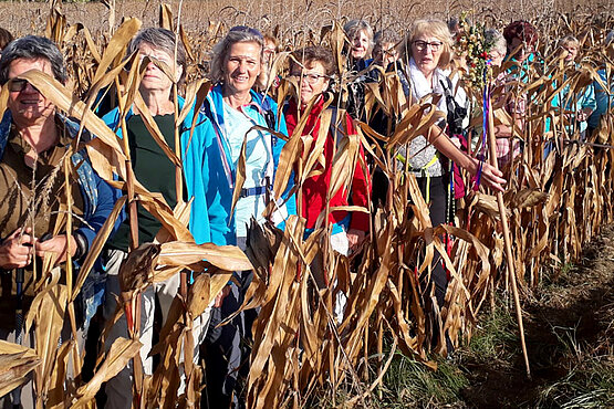 Frauen im Maisfeld