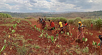 Ziegen, Lehmöfen und Schulen: Was in Burundi  für die Hungerhilfe und gegen die Folgen des Klimawandels getan wird.
