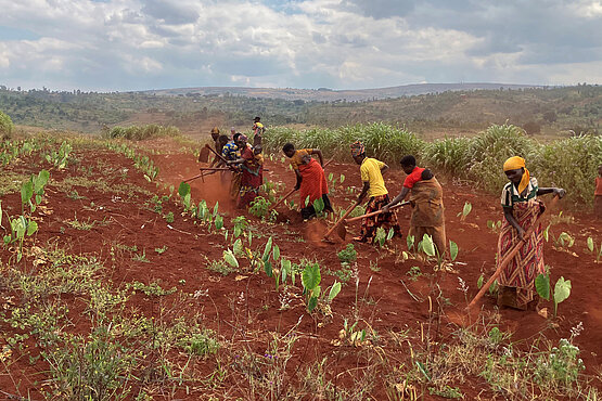 Ziegen, Lehmöfen und Schulen: Was in Burundi  für die Hungerhilfe und gegen die Folgen des Klimawandels getan wird.