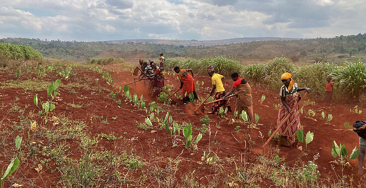 Ziegen, Lehmöfen und Schulen: Was in Burundi  für die Hungerhilfe und gegen die Folgen des Klimawandels getan wird.