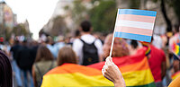 Trans Flagge