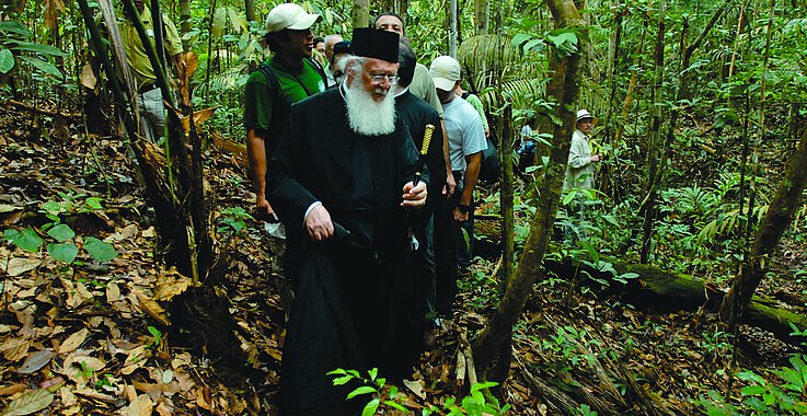 Bartholomaios im Regenwald