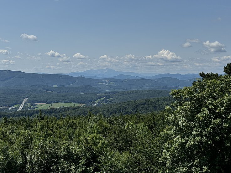 Die Aussicht auf den Schneeberg. 