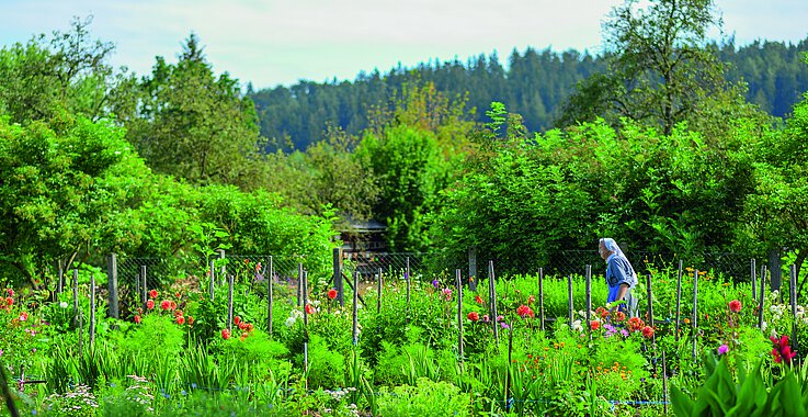 Der Schöpfung begegnen, wie Franziskus – mitten im Klostergarten.