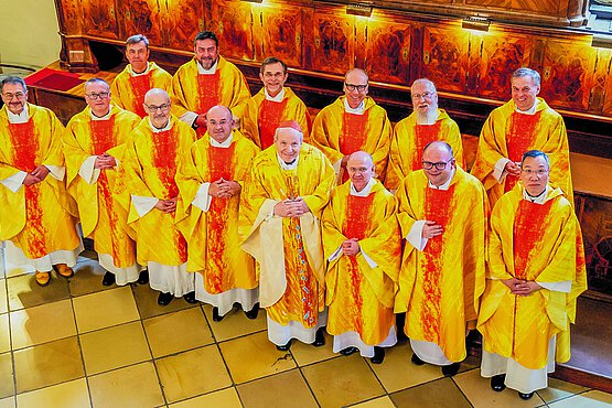 Silberjubilare: Viele, die in diesem Jahr ihr silbernes Priesterjubiläum begehen, feierten mit Kardinal Christoph Schönborn einen Dankgottesdienst im Stephansdom.