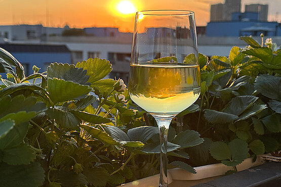 EIn Glas Wein im Sonnenuntergang