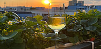 EIn Glas Wein im Sonnenuntergang