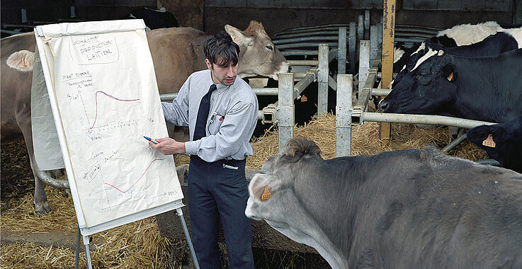 Künstler Thierry Boutonnier erklärt Kühen, wie Landwirtschaft funktioniert. 