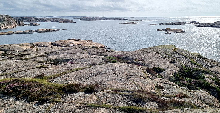 Küstenlandschaft in Schweden