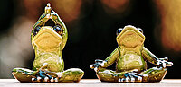 Frösche die Yoga machen