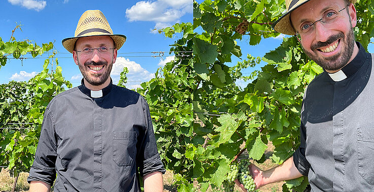 Pfarrer im Weingarten des Herrn