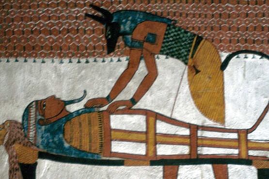 Mumien sind wertvolle und begehrte Objekte in Museen. 