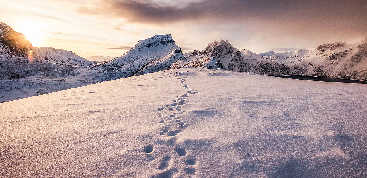 Fußstapfen im Schnee