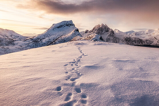 Fußstapfen im Schnee