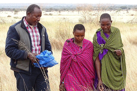 In sogenannten Grasbanken werden Heu und Samen gezogen, um Futter für das Vieh in der Trockenzeit zu bekommen. Die Sternsinger und die Dreikönigsaktion unterstützen das Projekt von PWC. 