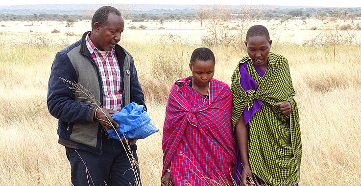 In sogenannten Grasbanken werden Heu und Samen gezogen, um Futter für das Vieh in der Trockenzeit zu bekommen. Die Sternsinger und die Dreikönigsaktion unterstützen das Projekt von PWC. 