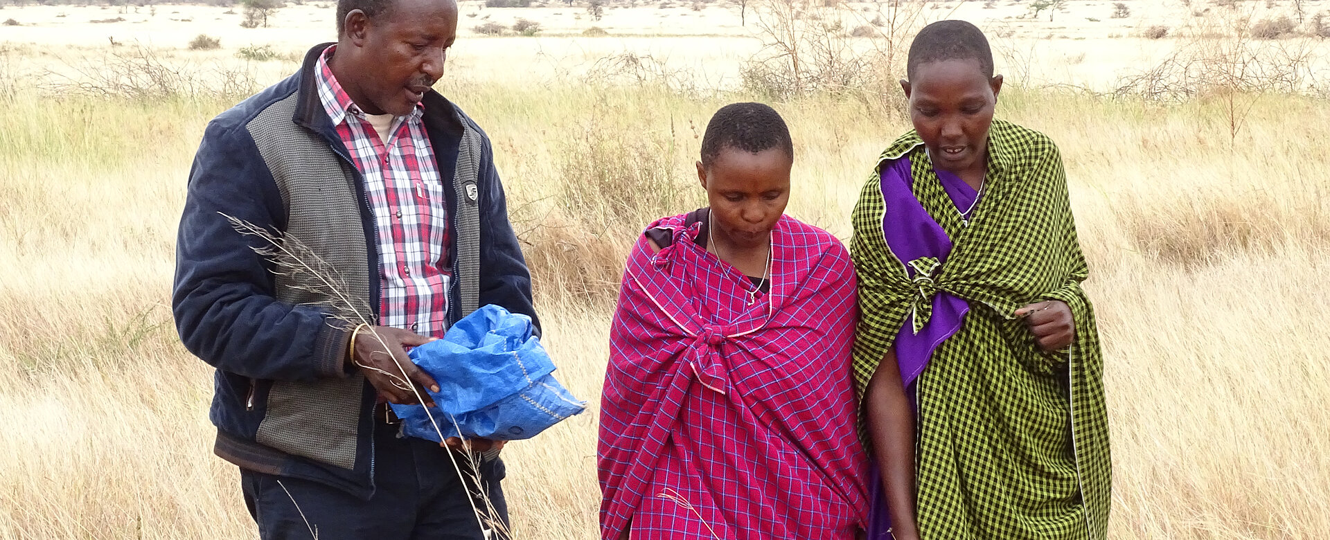 In sogenannten Grasbanken werden Heu und Samen gezogen, um Futter für das Vieh in der Trockenzeit zu bekommen. Die Sternsinger und die Dreikönigsaktion unterstützen das Projekt von PWC. 