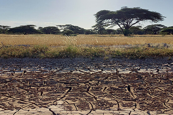 Ausgetrocknete Felder im Norden von Kenia