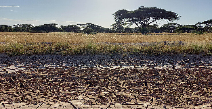 Ausgetrocknete Felder im Norden von Kenia