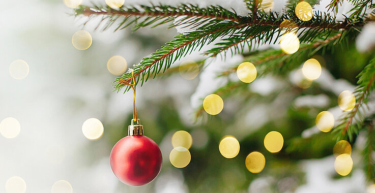 Christbaum mit roter Weihnachtskugel