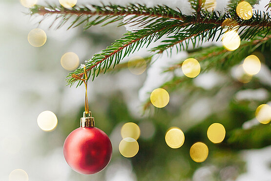 Christbaum mit roter Weihnachtskugel