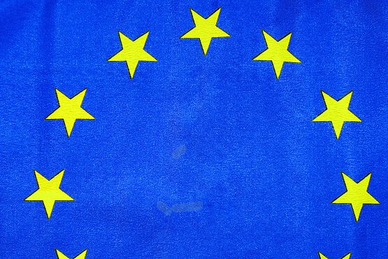 Europawahl 2024
