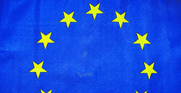 Europawahl 2024