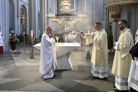 Der Papst feierte bereits in Wien: Kardinal Prevost kam im Oktober 2024 zu seinen Mitbrüdern in die Augustinerkirche.