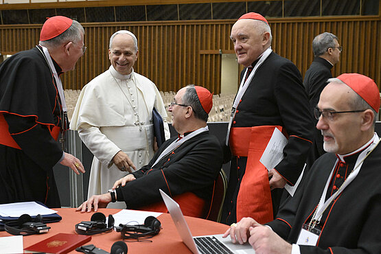 Von großer Harmonie bei den Beratungen sprachen die Kardinäle nach dem ersten außerordentlichen Konsistorium unter Papst Leo XIV.