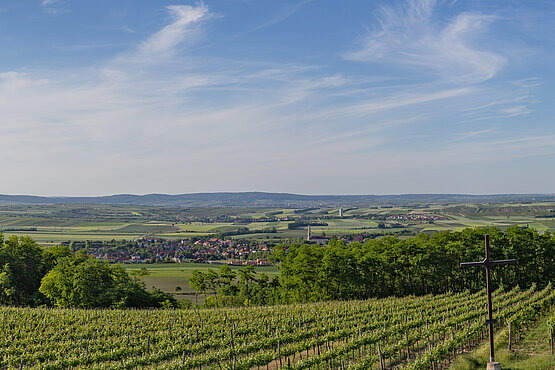 Landschaftsbild mit Weinreben