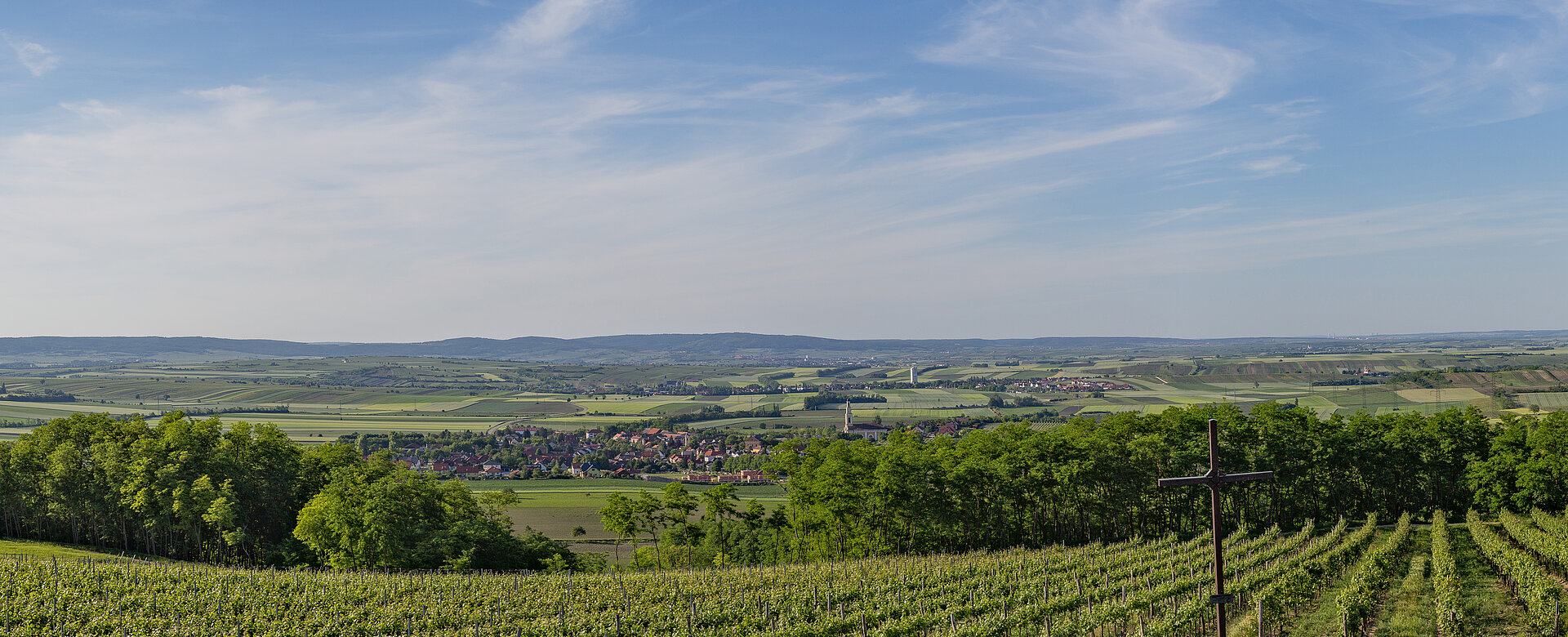 Landschaftsbild mit Weinreben